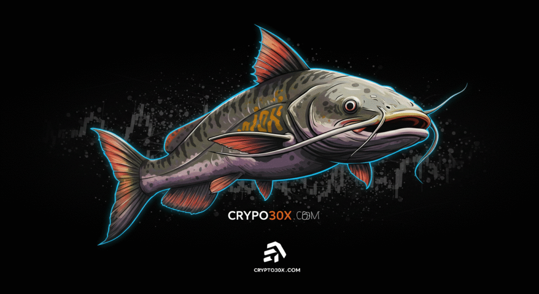 Crypto30x.com Catfish